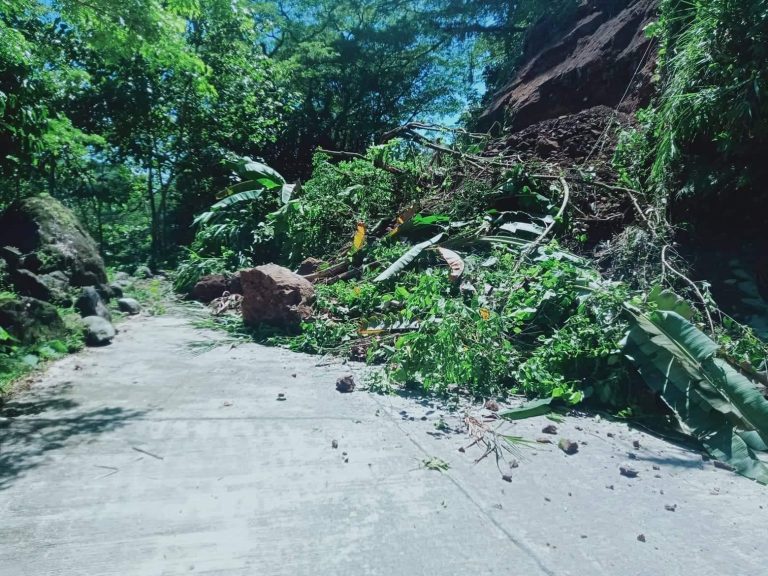Infra damage due to magnitude 7.0 quake pegged at P396.6-M