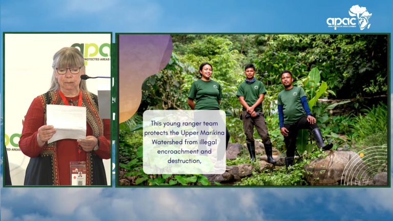 Masungi defenders bag int’l ranger award