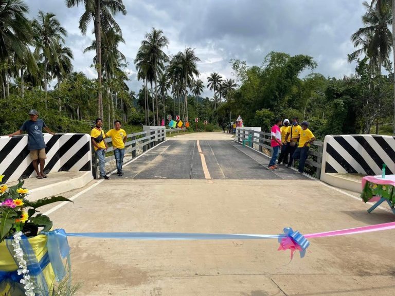 DPWH, DAR turn over 5 new bridges in Palawan