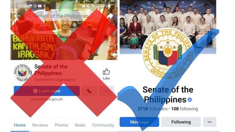 Senate asks public to be vigilant vs. fake socmed accounts