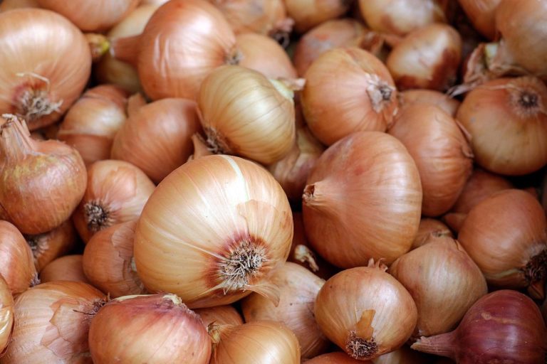 Imee Marcos wants DA inventory on white onions