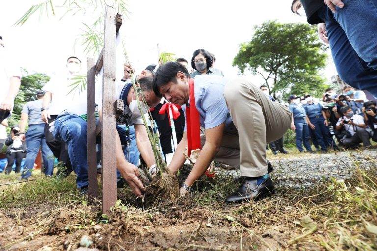Marcos leads tree planting activity on 65th birthday: ‘Spare no effort’ for Earth’s survival’
