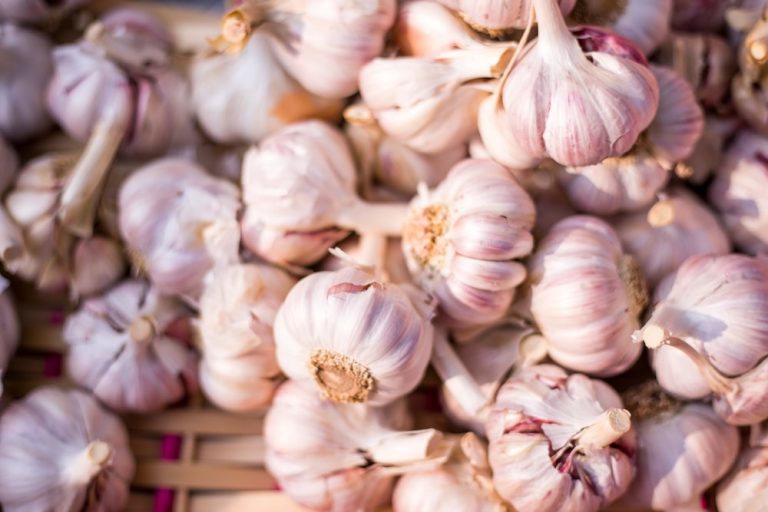 Batanes gov appeals to public: Buy our garlic