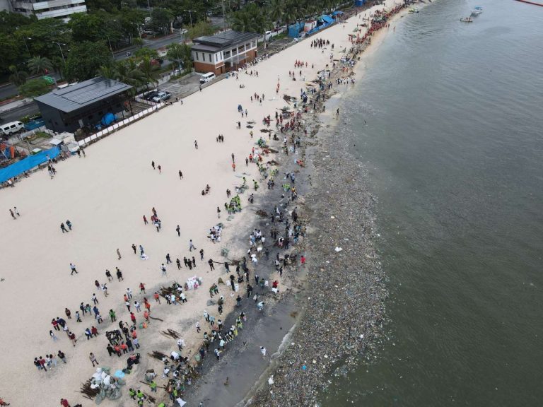 Palace won’t interfere with HOR Dolomite Beach probe, warns against politicking