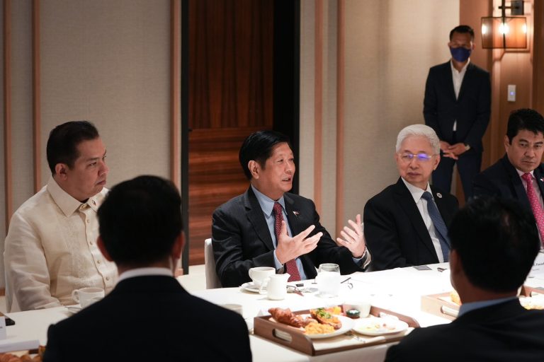Invest in PH, PBBM tells Cambodian businesses