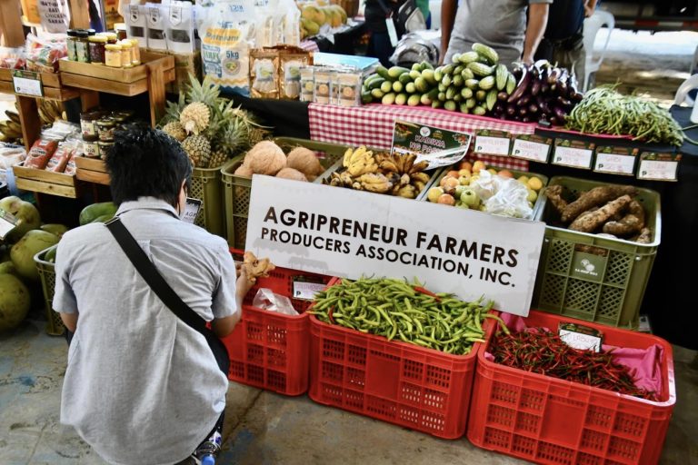 PBBM bets on success of ‘Kadiwa’, addt’l profits for farmers