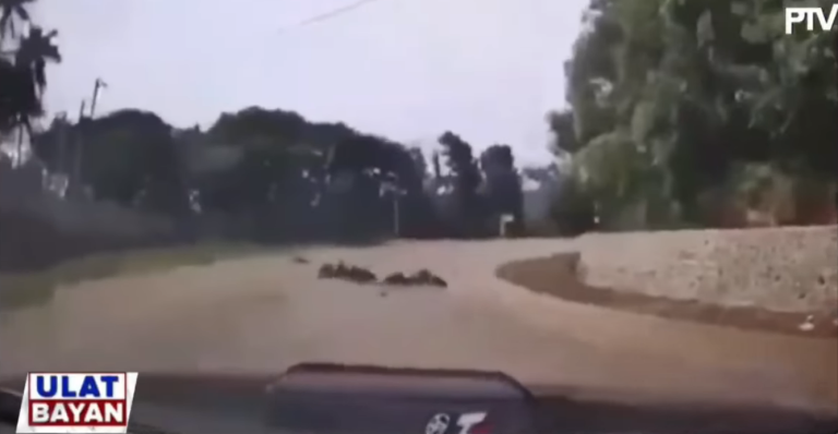Couple rider dead in Laguna road mishap