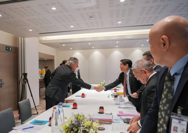 EU firms to bolster investment in PH on renewable energy, infra 