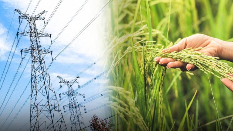 Maharlika fund seen to address power, agri needs