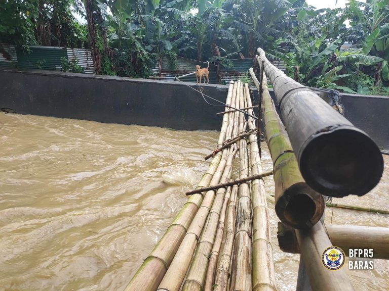 Floods, heavy rains death toll rises to 30