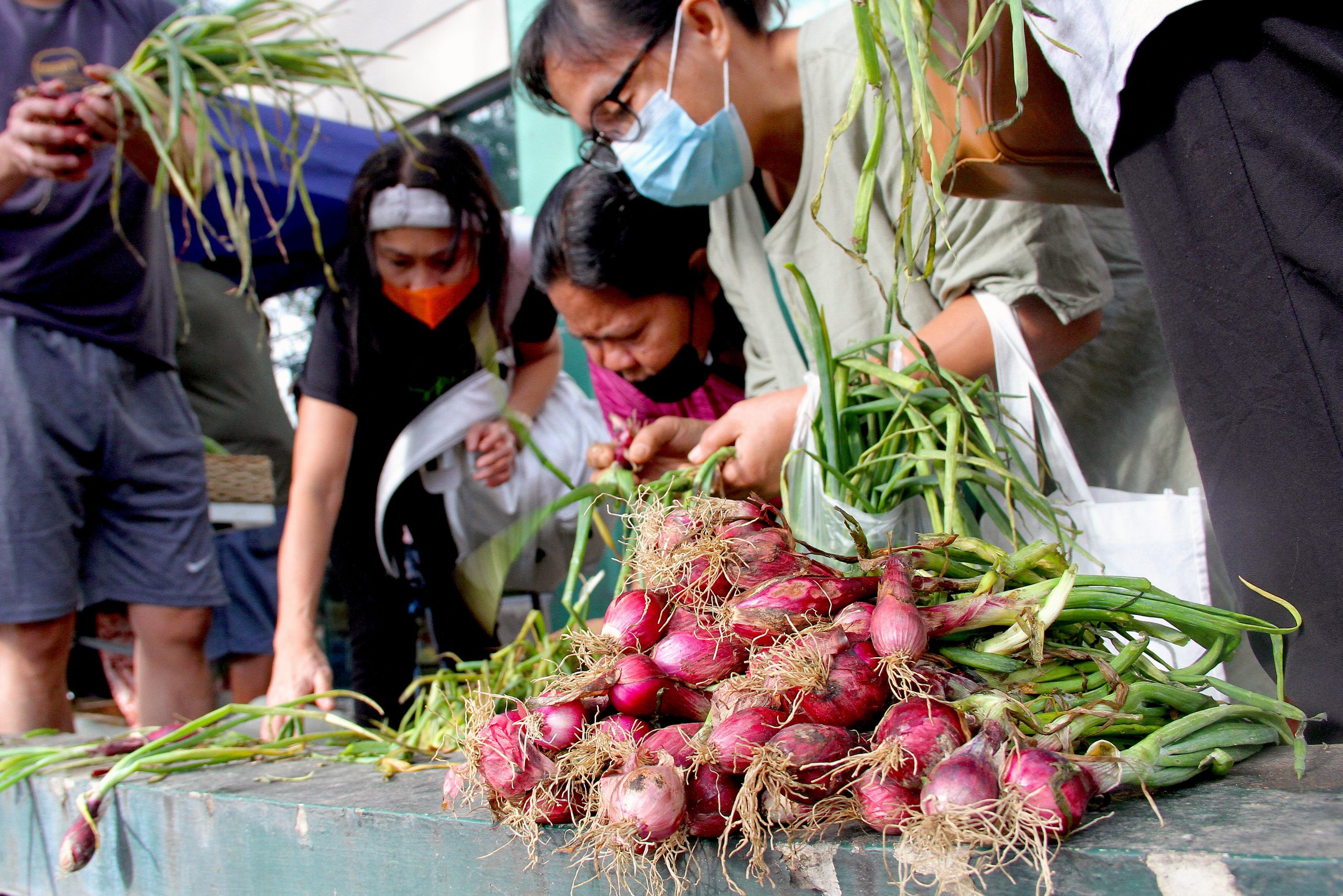 DA program aims to boost local onion industry PTV News