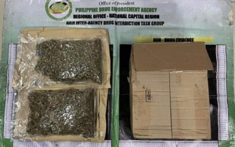Las Piñas court drops drugs raps vs. Remulla son