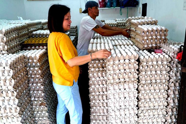 DOH warns against consumption of frozen egg