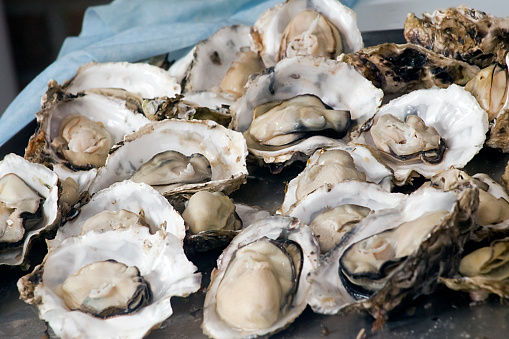 Makati LGU closes oyster bar after food poisoning allegations