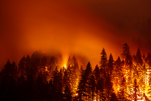 Chile wildfires spread amid heat wave as death toll rises
