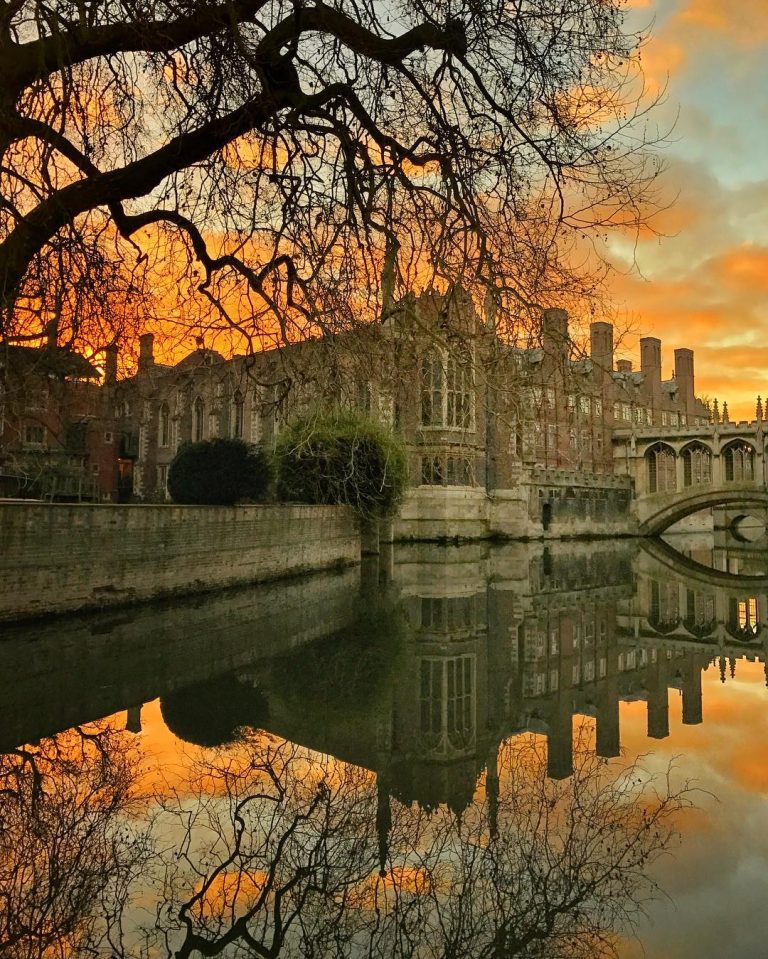 Cambridge, other top universities ban use of ChatGPT