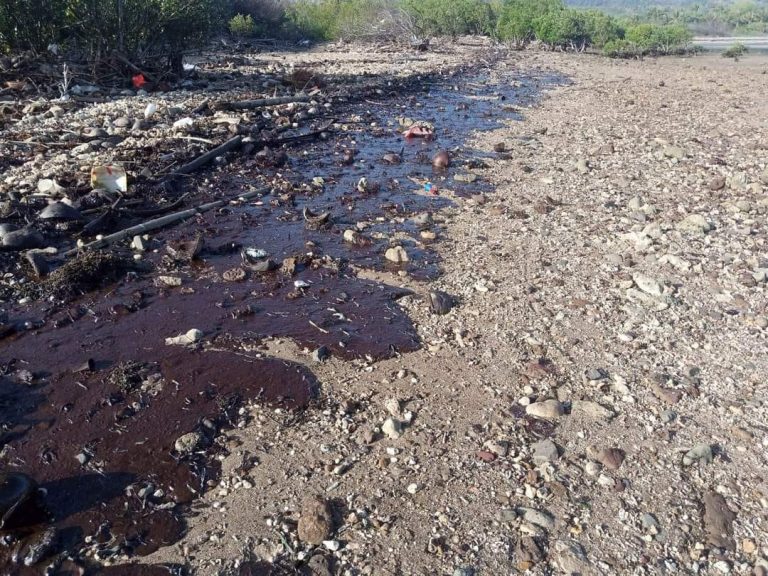 Calapan barbershop to collect cut hair to help Oriental Mindoro oil spill cleanup