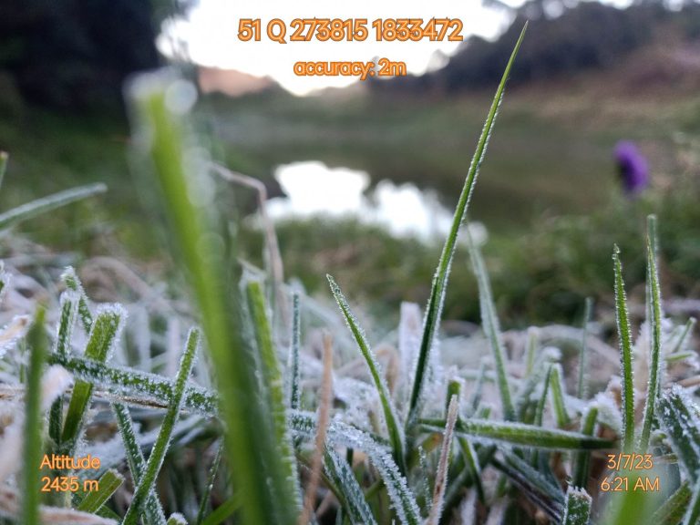 Frost covers Mt. Pulag