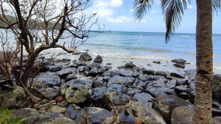 PBBM orders cleanup ops, cash-for-work program to oil-spill affected areas