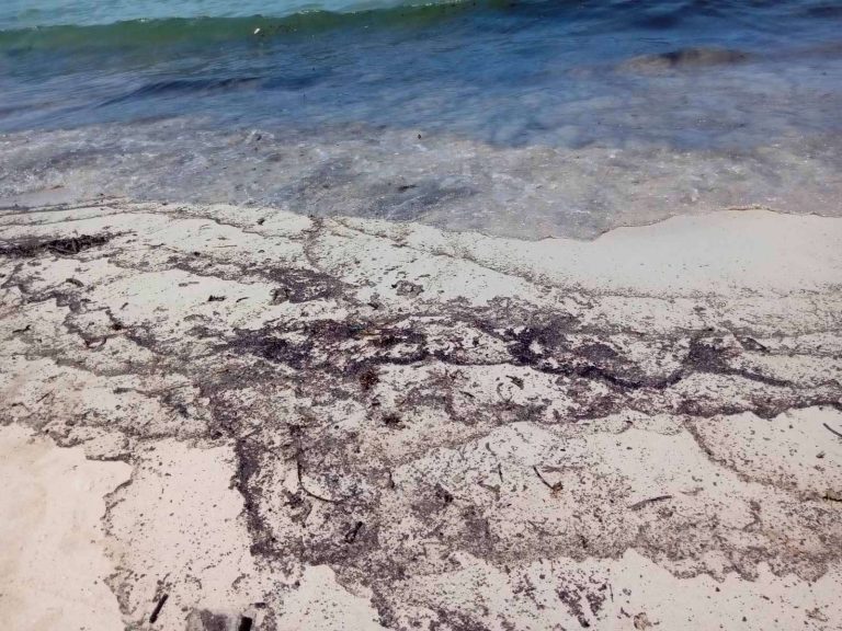 PCG: Oil spill cleanup in Pola now at 85%, 74% in Naujan
