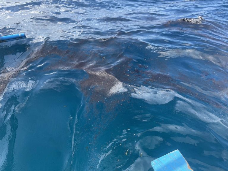 Fisherfolk urge gov’t to ‘immediately, effectively’ contain oil spill in Verde Island Passage