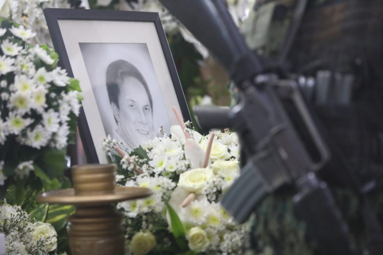 Abalos heads ‘special task force Degamo’