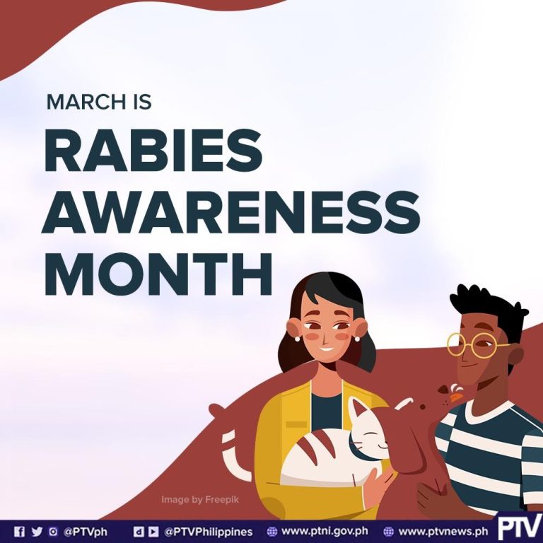 Public urged to vaccinate pets, get immediate treatment for bites