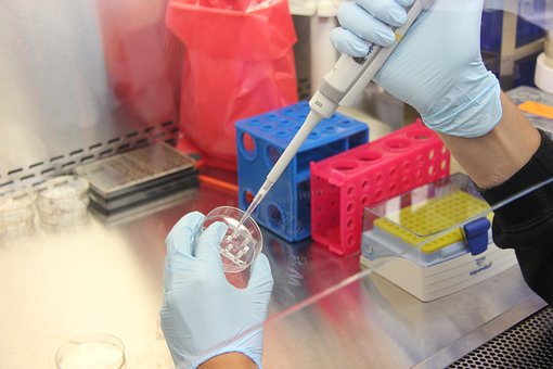 Women remain underrepresented in STEM – CHED report