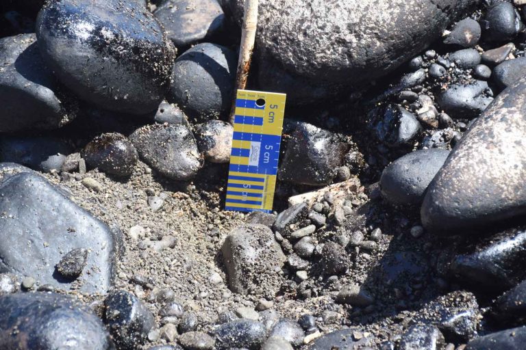 PCG: Samples from Oriental Mindoro oil spill matches industrial oil from sunken MT Princess Empress