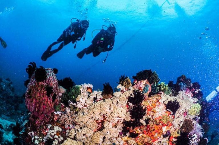 DOH, DENR: 9 of 35 Puerto Galera sites pass water standards