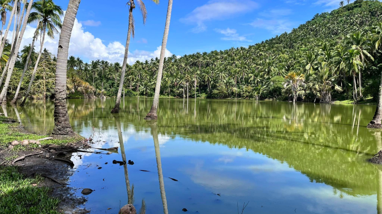 Inland wetland found in Quezon