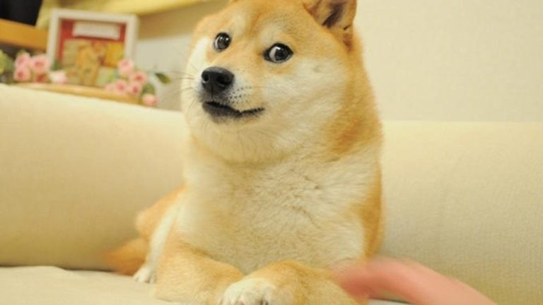 Twitter’s bird logo changed to Doge