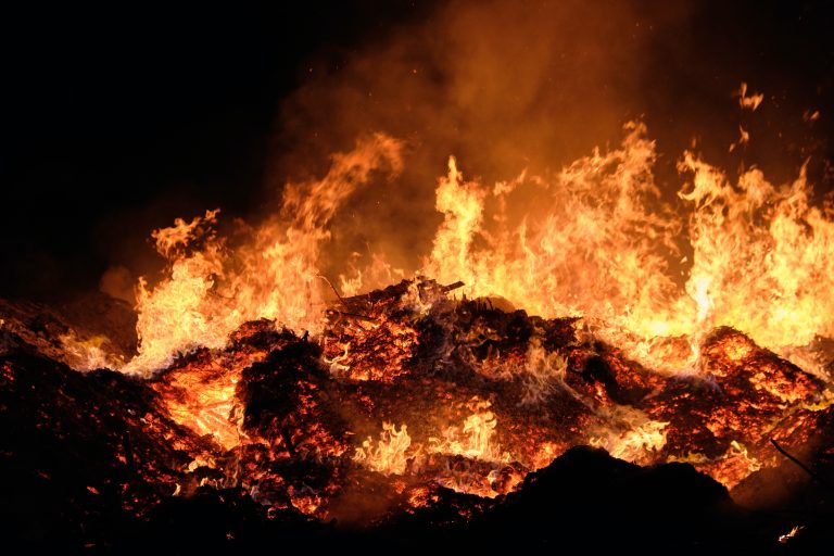 France loses nearly 1,000 hectares to forest fire