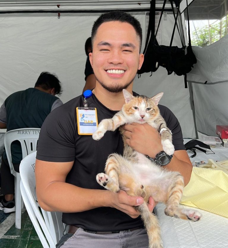 Vet spots rare male calico cat