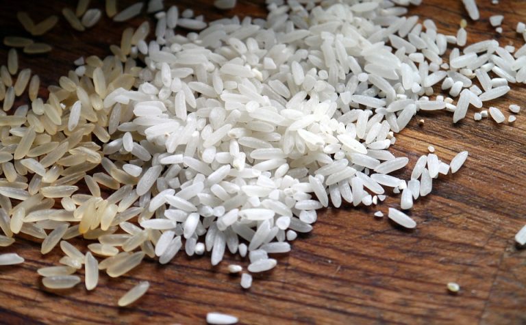 DA sees drop in rice prices as peak harvest season nears