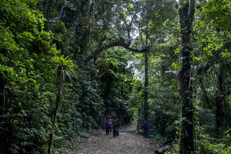 In Costa Rica, climate change threatens ‘cloud forest’