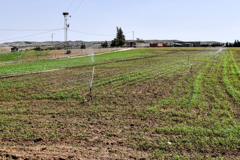 Drought-hit North Africa turns to purified sea and wastewater