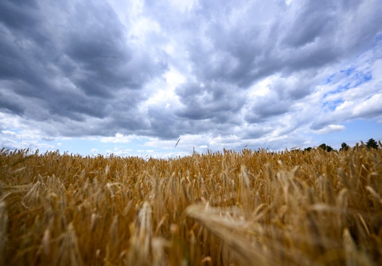 Last week the hottest worldwide on record: UN