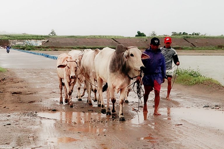 Over 164K families affected by ‘Egay’