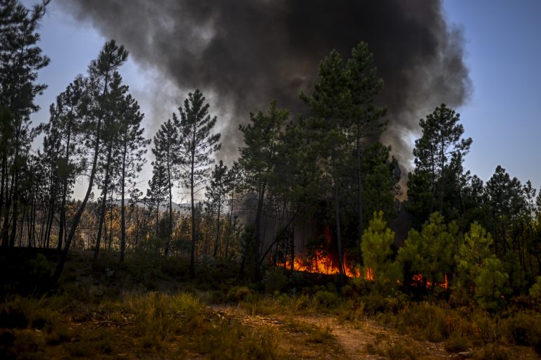 Portugal battles wildfires amid searing heat