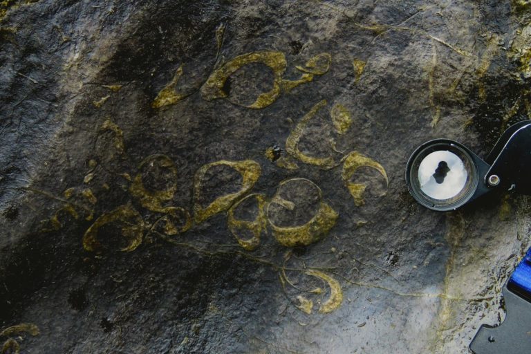 ‘First, oldest’ fossil gastropods discovered in Masungi