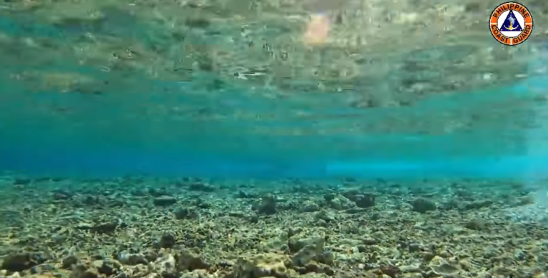 DENR expresses ‘grave concern’ over coral, marine biodiversity destruction in WPS