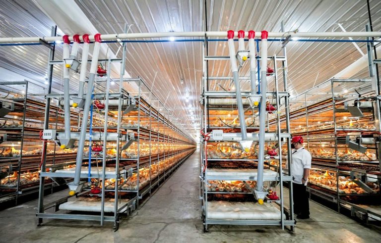 PBBM-initiated modern chicken farm, a step forward towards ensuring PH’s sufficient food supply