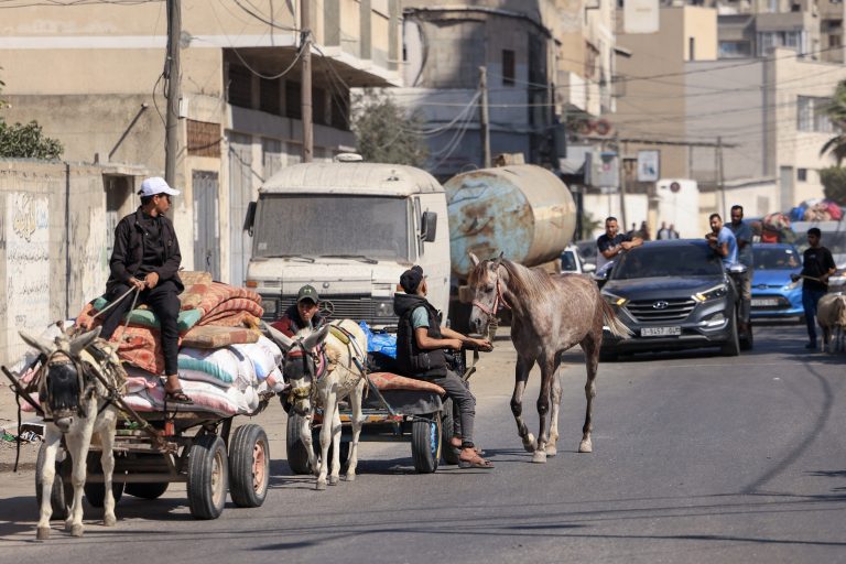 Thousands flee north Gaza after Israel evacuation warning