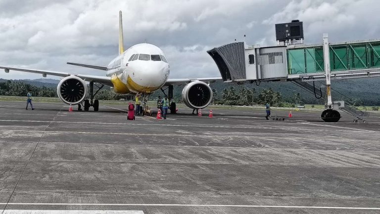 CAAP assures safety measures in place vs. bird strikes at PH airports