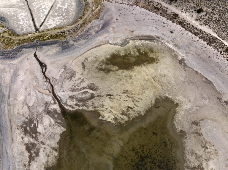 El Niño set to last at least til April: UN