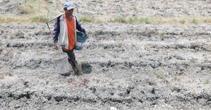 Drought to hit 65 provinces by end-May 2024 – Solidum