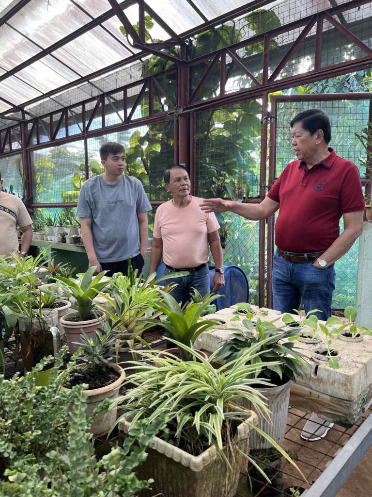 DILG: Community gardens now up to 27K from 2K