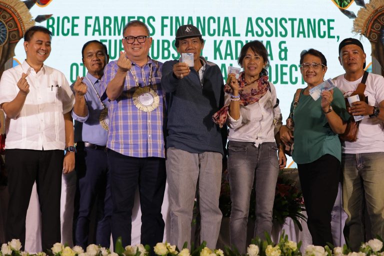 Iloilo agri-fishery sector receives P909-M aid