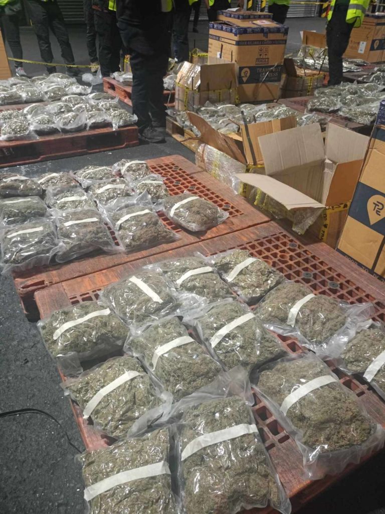 BOC finds P76-M kush inside balikbayan boxes at Manila port